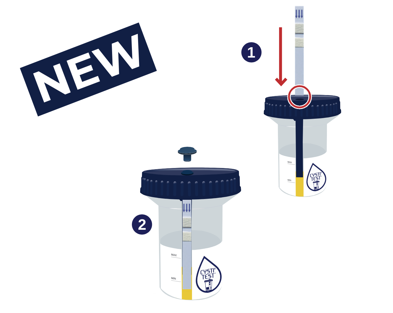 Visuel CYSIT'TEST (NEW) - EN